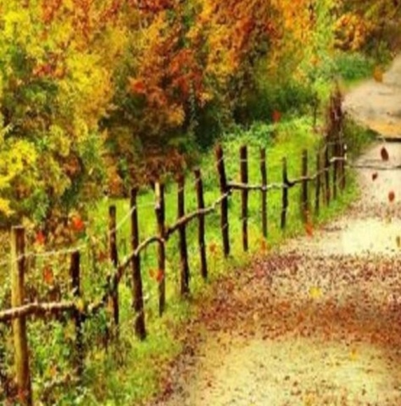 Meet your Posher, Mary - Picture 1 of 1